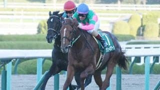 兄は若くでこの世を去った「中山巧者」 京都2歳Sの覇者がホープフルSでGI初制覇へ