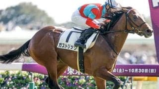 「出世レース」東スポ杯2歳Sの覇者 ホープフルS制覇で偉大な先輩に続くか