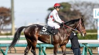 ホープフルS調教後馬体重 ミッキーカプチーノは524kg、ガストリックは510kg