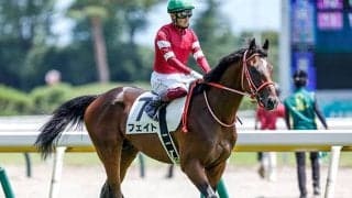 藤田晋オーナー所有の1億7600万円馬がホープフルSに登場 いとこはサリオスの良血