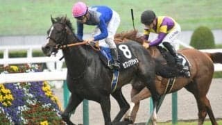 【ホープフルS展望】時計が掛かりやすいレース、あの馬に期待したい