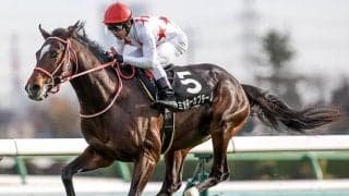 新馬戦は後の重賞馬に勝利 葉牡丹賞勝ち馬が無傷のホープフルS制覇へ