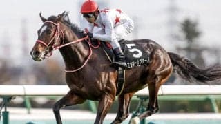 【ホープフルS予想】有馬記念と傾向は似てる？ 有力馬が該当する不利な枠番