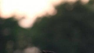 【連載】箱根事前特集『RE:』　第15回　小指卓也