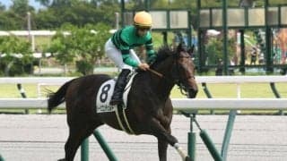 【ホープフルS予想】AIの指名馬は上位人気グループの一角 前走からの巻き返しはあるか!?