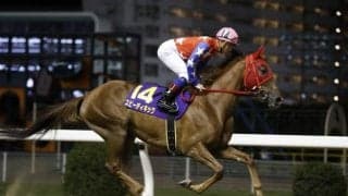 【大井・東京シンデレラマイル枠順】今年の南関東牝馬二冠馬スピーディキックは2枠2番、3連覇が懸かるダノンレジーナは4枠4番