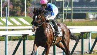 武豊騎手前人未踏の大記録達成へ ホープフルSの相棒に注目 