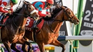 【今日の注目ポイント】中山で2歳GIホープフルS　2022年最後のJRA開催日