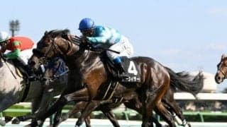 ホープフルＳで問われるのは現時点での完成度。穴党記者は舞台経験ある馬とレース巧者の一発に期待