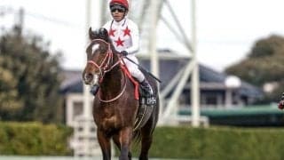 【ホープフルS予想】スタミナと器用さが重要視される2歳GI