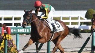 【阪神5R新馬戦結果】8番人気ランスオブサウンドが悠々抜け出す