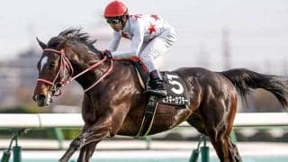 【ホープフルS・馬体重】ミッキーカプチーノは524kg(+2)、ガストリックは518kg(+8)