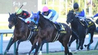 【中山金杯】アドマイヤビルゴ、ウインキートスらが登録