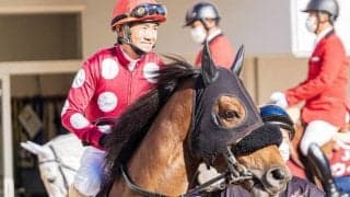 12月28日の競走中止・疾病などの一覧 ハイチーズ落馬競走中止など/中山・阪神