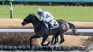 【新馬/中山6R】ラヴェリテがデビューVで、インゼルが好調