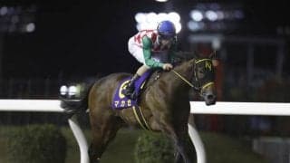 【大井・東京2歳優駿牝馬枠順】全国各地から有力牝馬集結 ローレル賞の覇者マカゼは5枠8番