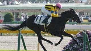 【シンザン記念登録馬】ライトクオンタムなど16頭