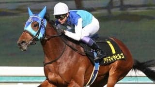 【中山金杯登録馬】アドマイヤビルゴなど24頭