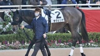 【新馬/中山6R】浜中「初戦としては良い内容」ラヴェリテが3馬身半差完勝