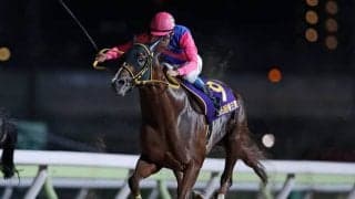 【AI予想・東京大賞典】今回は差し届く？ AIがはじき出した予測勝率トップの馬