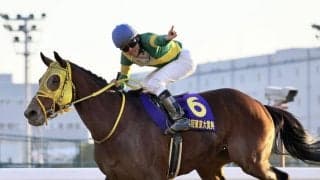 【東京大賞典】横山和騎乗、ウシュバテソーロがG1初制覇