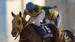 【東京大賞典】横山和「頼もしく思います」ウシュバテソーロがG1初制覇