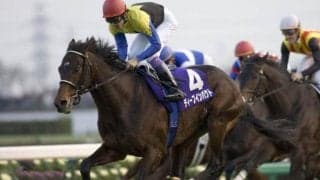 ディープインパクトが11年連続で種牡馬リーディング首位！ ドゥラメンテが5位に躍進