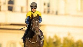 【東京大賞典】武豊「大井2000合っている」レース後ジョッキーコメント