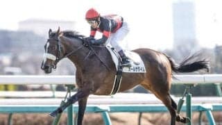 来年はデビュー以来最多の血統登録頭数となるエピファネイア 種牡馬獲得賞金トップなるか