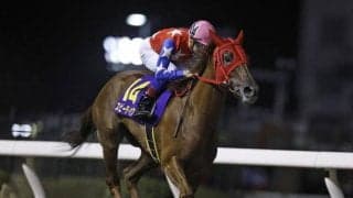 【大井・東京シンデレラマイル注目馬】スピーディキックが古馬撃破に挑む