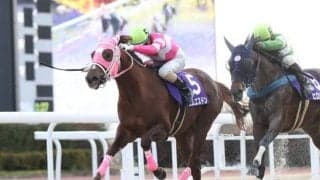 【笠松・ライデンリーダー記念結果】エムエスドンが早め先頭から押し切る