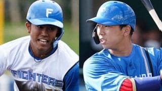 トップアイドルの夫も“無限競争”…内外野も激戦　日本ハムの大補強であおり受ける選手