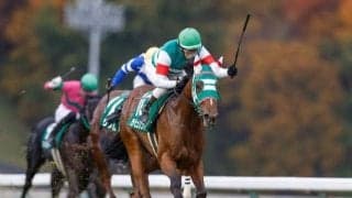 【大井・東京2歳優駿牝馬注目馬】南関東競馬を締めくくるダート2歳女王決定戦