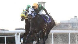 【笠松・東海ゴールドC結果】ウインユニファイドが節目の通算10勝目