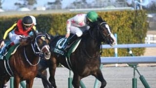 【京都金杯見どころ】マテンロウオリオンがGIIIで仕切り直し