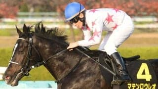 【中山金杯見どころ】明け4歳馬マテンロウレオが重賞2勝目を狙う