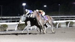 【高知県知事賞】高知2冠馬ガルボマンボが激戦を制す/林「嬉しい1年になった」