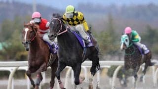 【水沢・桐花賞】ノーブルサターンが人気に応える/高松亮「ホッとした」