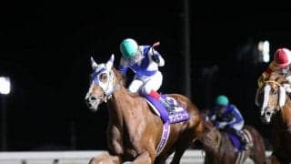 【川崎・報知オールスターC枠順】南関東に新年の訪れ告げる重賞 道営記念馬サンビュートは1枠1番