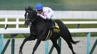 5日の金杯から2023年の中央競馬開幕、週末は3日間開催/今週の競馬界の見どころ