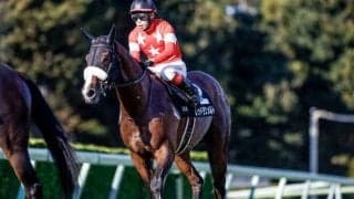 【中山金杯展望】JRA重賞戦線の幕開け、勢いのある馬に期待したい