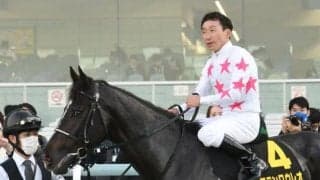 【中山金杯予想オッズ】マテンロウレオが予想1番人気