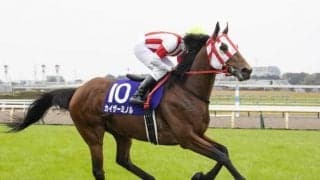 【京都金杯展望】波乱必至のハンデ戦、前走GI組に妙味無し