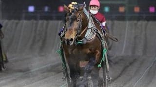 【ばんえい・帯広記念】アオノブラックが正月の大一番を飾る/藤野「ホッとしている」