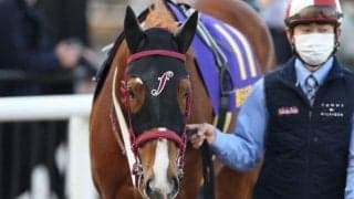 【川崎・報知オールスターC注目馬】道営記念馬vs南関東の実績馬 新年を飾る名物重賞