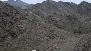 ダカール2023：ステージ2はナッサー・アル-アティヤがトップタイム、セバスチャン・ローブは大幅に後退