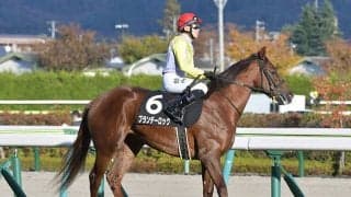 【2022年JRA珍リーディング発表！(1)】最多出走はブランデーロックが“圧勝”