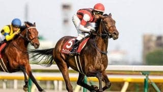 【中山金杯】メンバー中2頭のみのGIIウイナー・ウインキートス＆ワンダフルタウンに立ちはだかる厳しいデータとは？