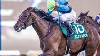 【京都金杯出走馬・騎手確定】マテンロウオリオン＆横山典弘騎手、オニャンコポン＆菅原明良騎手など16頭