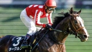 【中山金杯出走馬・騎手確定】マテンロウレオ＆横山和生騎手、ラーグルフ＆戸崎圭太騎手など17頭